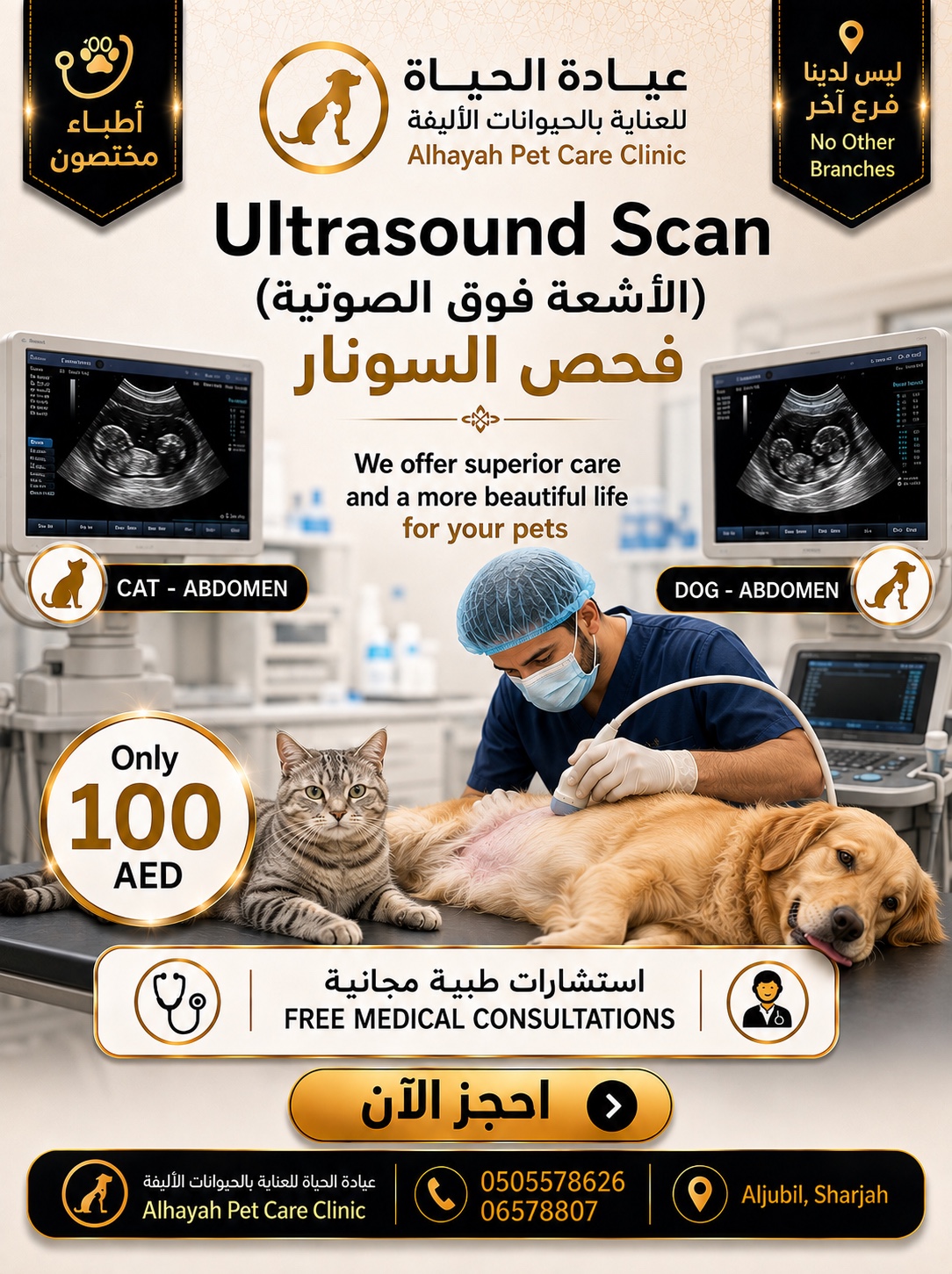 Alhayah special offer