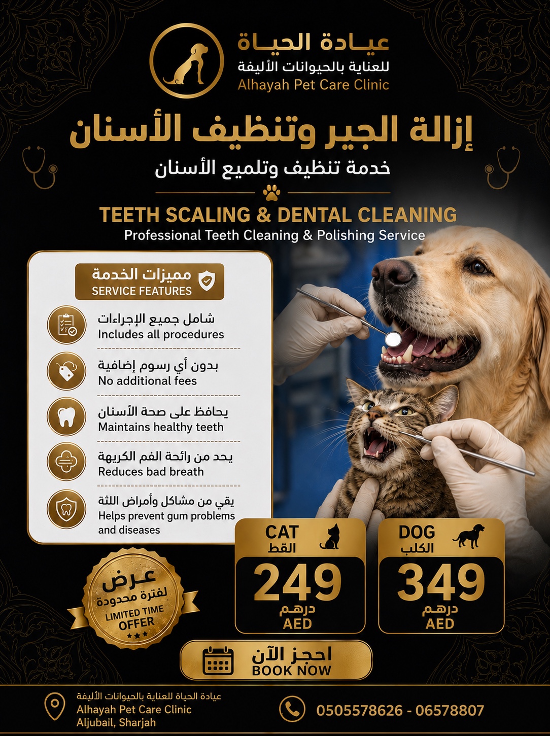 Alhayah promotion